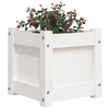 img-1f8e6b49-f1bc-4ae2-add7-9f54314413c8.png