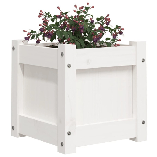 img-1f8e6b49-f1bc-4ae2-add7-9f54314413c8.png