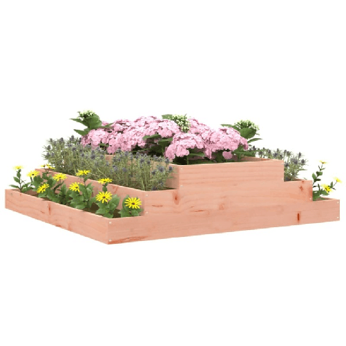 img-19a5ae2e-d775-4764-9b6a-b486d1c5581c.png