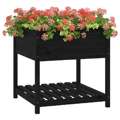 img-ae81f4ae-65d2-427a-bb76-e2b0d5da874a.png