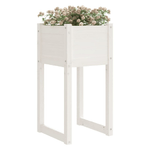 img-956f4bfc-87f6-49d3-838d-adcbbce31ece.png