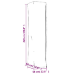 img-8f09d356-bef2-46fd-a35f-db8990274863.png