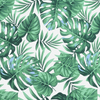 img-ab4c5156-8df7-4b52-aad6-cb02b7a406bc.png
