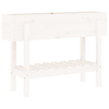 img-8ef7a33b-cc2b-4c8f-aba5-bfe4b1ea52e1.png