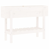 img-d94fbf08-70dc-4fde-91fd-e0f4e3bb9d16.png