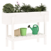 img-9829eb50-cb0b-490e-9e29-312433981183.png
