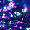 img-20bd5a1b-fd51-4cd2-b800-b52ed59fe935.png