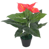 img-dac2c091-c068-450b-9291-726fb225abb6.png