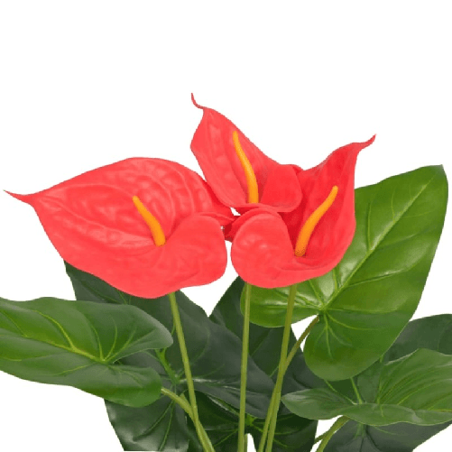 img-8eba3f67-4c2c-40c7-87ad-07cedaa4a24e.png