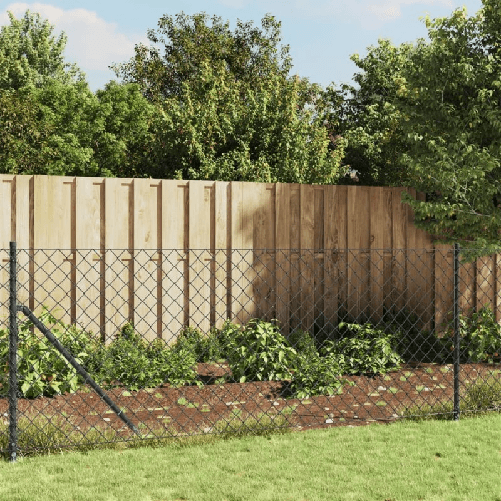 img-3d1fb5d0-6a47-4953-9d01-dee7224c6824.png