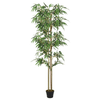 img-52e55596-6665-4692-bba1-874b2d2ed598.png