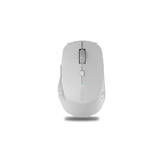 Rapoo M300 Silent mouse Mano destra RF senza fili + Bluetooth 1600 DPI