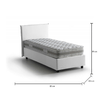 img-6b0a51df-8be9-4022-b6f2-2c7265d3a611.png
