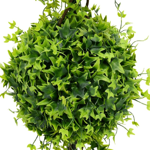 img-46ad63d1-1f65-42ed-8d24-6f74a670f1c5.png