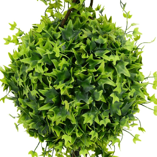 img-979fa318-da93-4a9a-a3c1-a09780fa3d8d.png