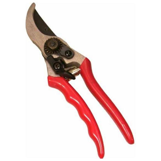 img-f050d6d9-b5f5-4618-a128-02341cd70ce3