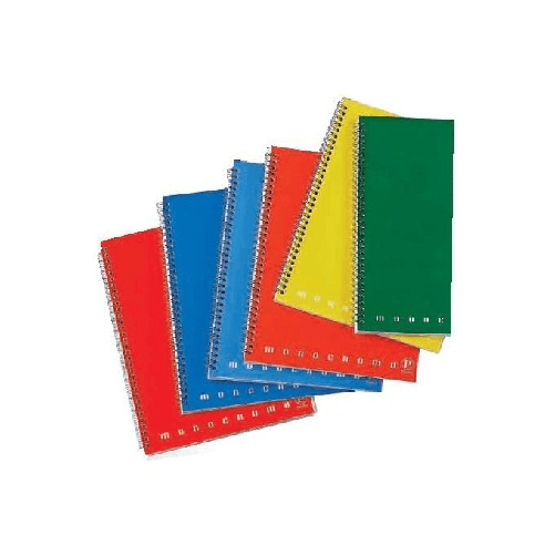 Pigna-Monocromo-Maxi-quaderno-per-scrivere-Multicolore