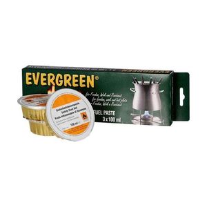 Evergreen Pasta-Gel per Fonduta 3 Pezzi 100gr