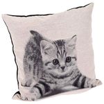 Cuscino da Arredo Sfoderabile con Decorazione Funny Cat 70% Poliestere e 30% Cotone 45X45 cm Bianco e Nero