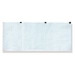 Carta Termica Ecg 120X100 Mm X 300 - Pacco Griglia Blu conf. 10 pz.