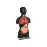 Mini Torso - Africano - 16 Parti 1 pz.