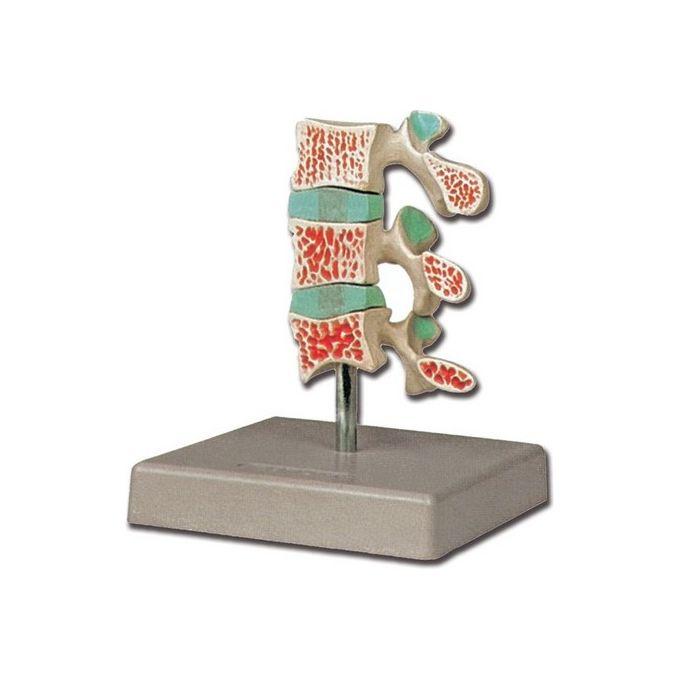 img-e76a8584-cf5e-48f1-85b9-2ee5ce94d746