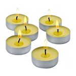 Lapillo TL100CT Candela Citronella Tealight 100 Pezzi