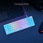 Asus ROG Falchion Ace Tastiera Meccanica da Gaming Illuminazione RGB Switch ROG NX Rossi Stabilizzatori Tastiera Foam