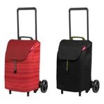 Gimi Easy Carrello Portaspesa Compatto con Capienza da 40 Litri Fantasy Red