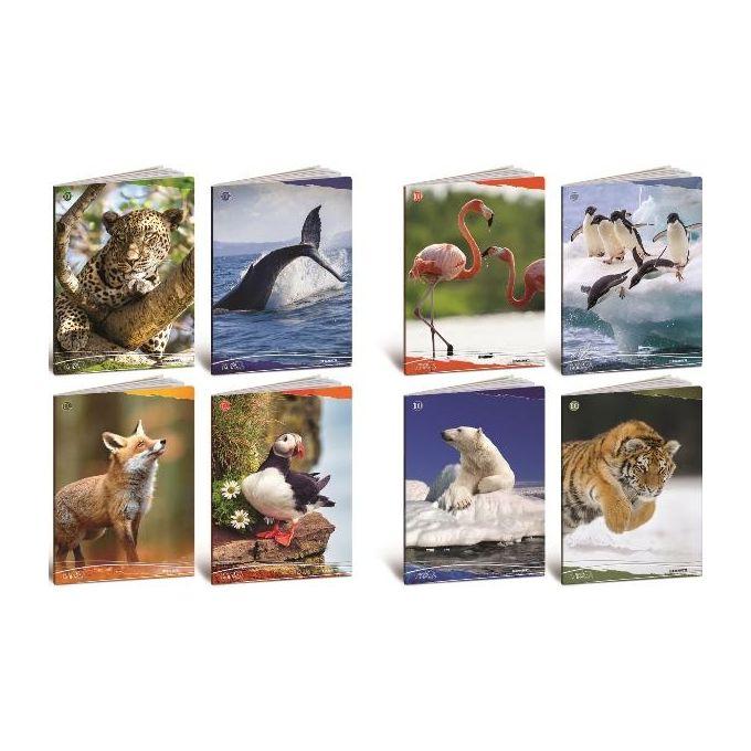 img-69c34108-8729-43f9-8468-e1f75c098922