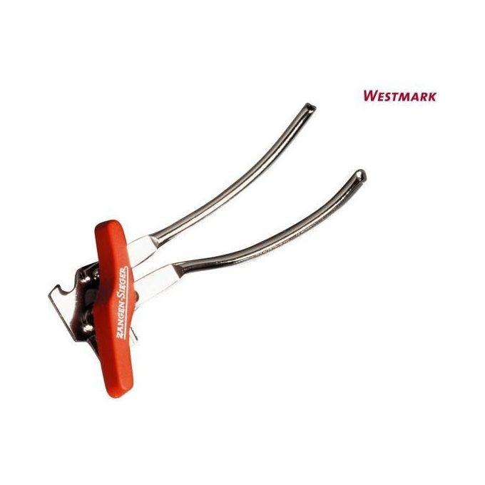 img-6ca82e71-51f8-44c3-8b0f-a55ffd74b3d1