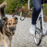 TRIXIE 12860 ricambio e accessorio per biciclette Supporto di fissaggio per guinzaglio del cane