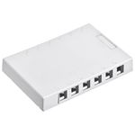 Leviton 41089-12W presa energia RJ-45 Bianco