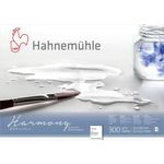 Hahnemuhle Harmony Acquarello A4 Ruvido 12 Fogli 300gr