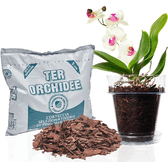 Kalapanta Kit per Rinvasare Le Orchidee: Vaso Trasparente con Fori drenaggio, Sottovaso e Terriccio specifico per Orchidee, diametro vaso 16 cm