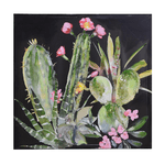 Vacchetti Quadro stampa cactus nero cm80x80x3