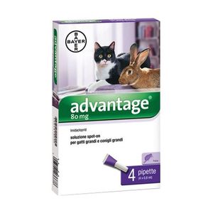 Advantix Advantage Soluzione Spot On per Gatti e Conigli 80mg Confezione 4 Pezzi