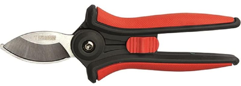 img-bd5c4d40-7297-4f0c-87e5-09bfedbf706c