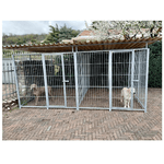 2 box per cani da esterno coperto con zincatura a caldo ciascuno da 300x200x altezza 180 cm