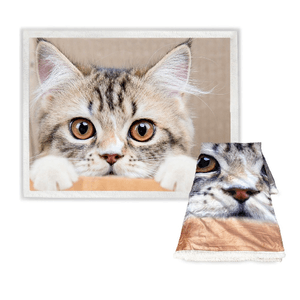 PLAID coperta IN PILE SHERPA fantasy HD gatto GATTO in SCATOLA