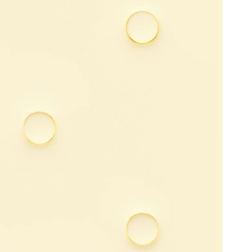 img-6cc42cbf-86d8-432e-b422-b4918f5ad6df.png