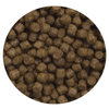 img-32f11034-1ead-49df-aa45-4ca6e96e2bf6.png