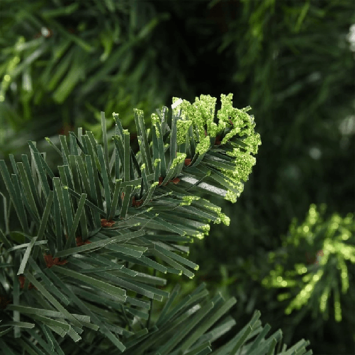 img-5cff84fb-50ed-47bc-b6f2-c45e580f87f5.png