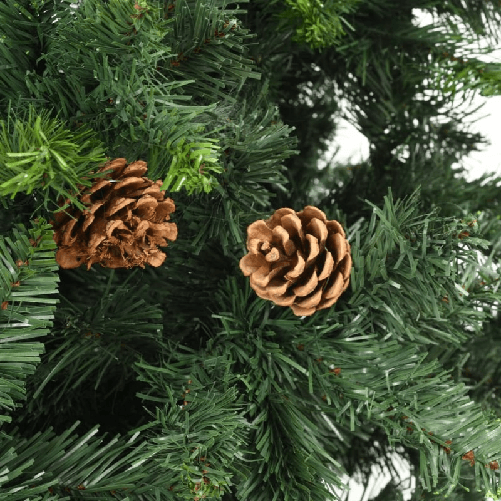 img-c1825107-923d-48c8-920f-ff47a3ba5b97.png