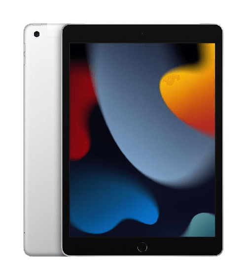 Apple-iPad-4G-LTE-256-GB-259-cm--10.2--Wi-Fi-5--802.11ac--iPadOS-15-Argento--APPLE-iPAD-WI-FI---CELLULAR-9-GEN256GB-10