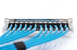 Digitus-Cat6a-U-FTP-100m-cavo-di-rete-U-FTP--STP--Blu