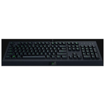 Razer-Cynosa-Lite-tastiera-USB-QWERTY-Italiano-Nero