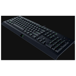 Razer-Cynosa-Lite-tastiera-USB-QWERTY-Italiano-Nero