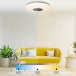 Altoparlante-LED-Rainbow-da-soffitto-Ksix---RGB---30W---40cm