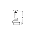 Osram-4052899262478-lampadina-per-auto